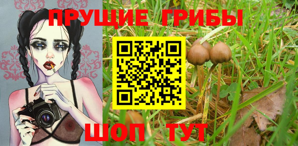 Псилоцибиновые грибы мухоморы  Вход с VPN  Галлюциногенные грибы Cubensis  Партизанск 